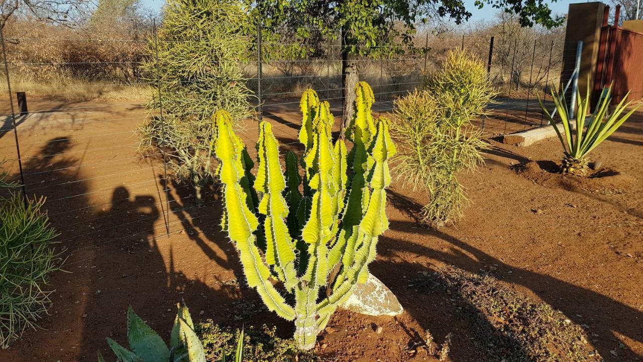 Hornbills Rest Country Home Phalaborwa Exteriér fotografie